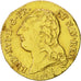 Coin, France, Louis XVI, Louis d'or à la tête nue, Louis d'Or, 1788, Limoges