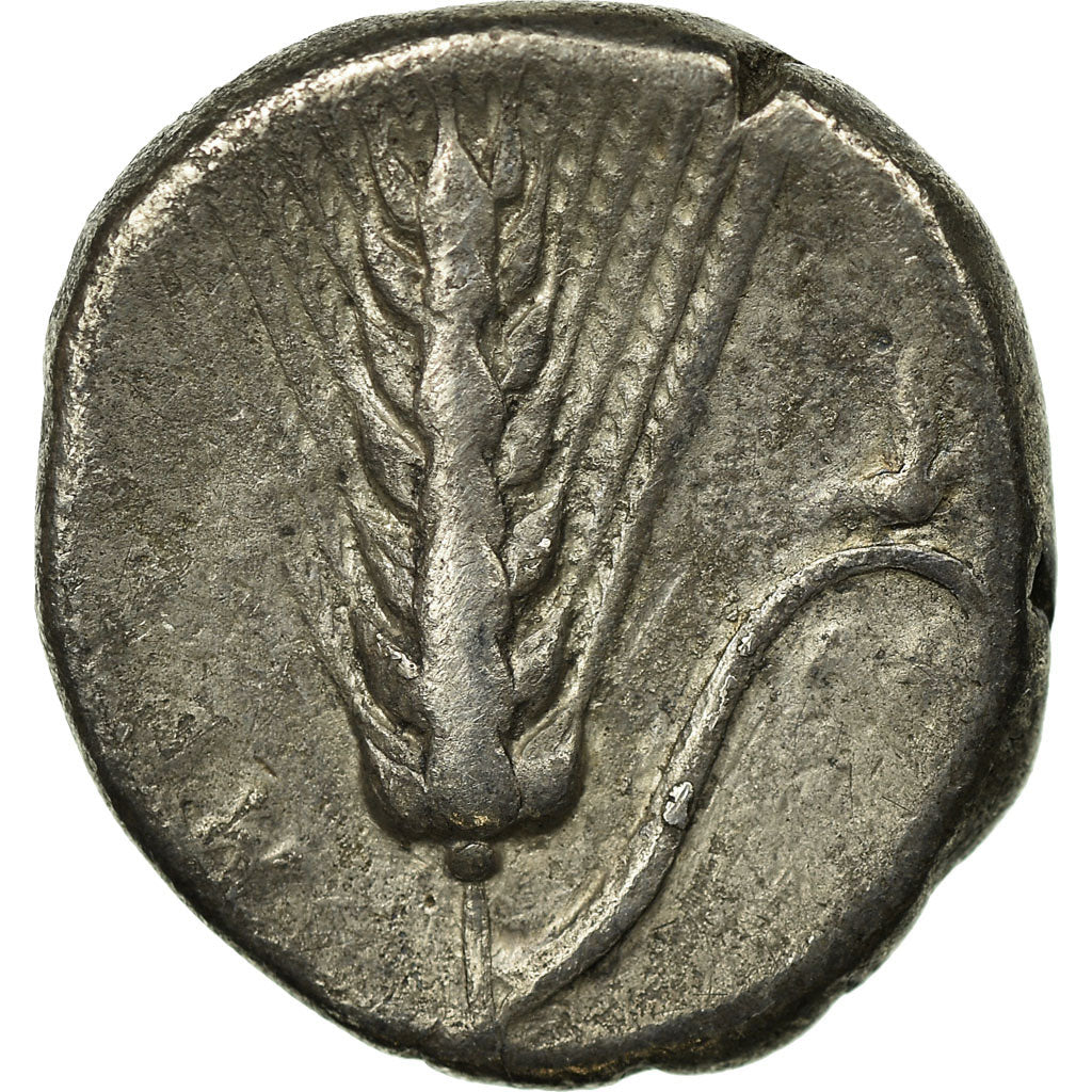 Monnaie, Lucanie, Métaponte, Leucippus, Didrachme, Metapontion, TB+, Argent