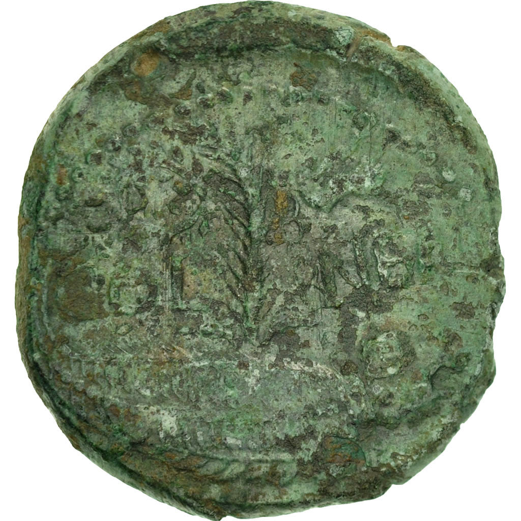 Monnaie, Auguste, Dupondius, 27-14 BC, Nîmes, TB, Bronze, RIC:155