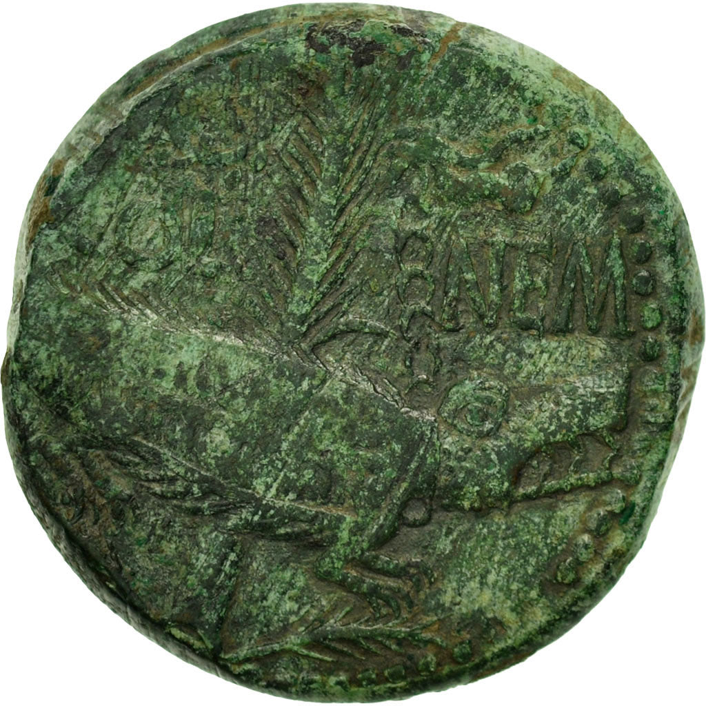 Coin, Augustus, Dupondius, 27-14 BC, Nîmes, VF(30-35), Bronze, RIC:155