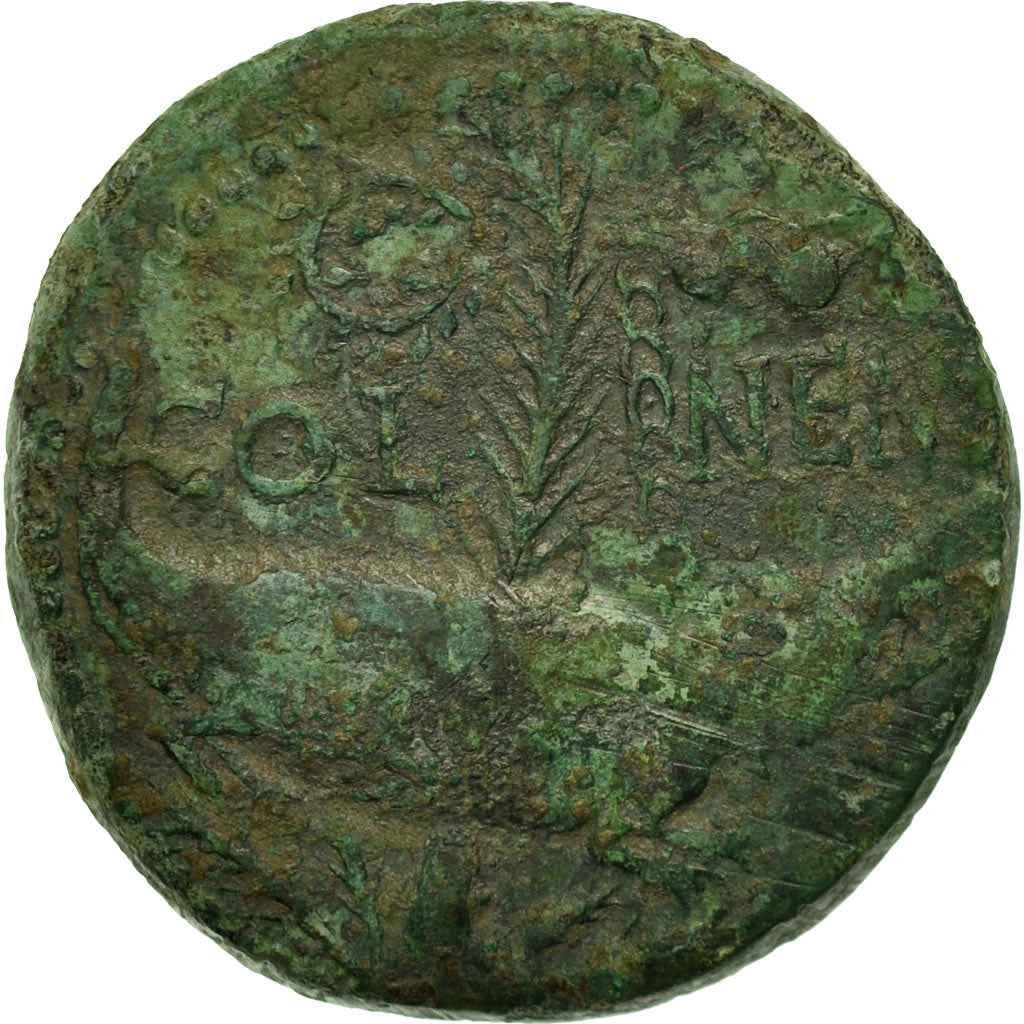 Monnaie, Auguste, Dupondius, 27-14 BC, Nîmes, TB+, Bronze, RIC:155