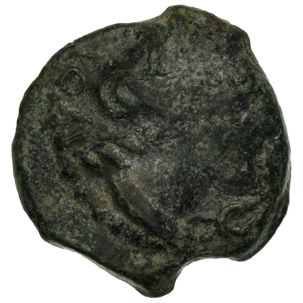 Coin, Volcae Arecomici, Bronze, 1st century BC, VF(30-35), Bronze, Latour:2677