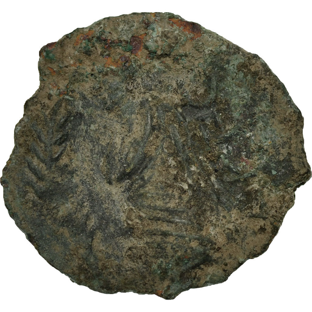 Munten, Volcae Arecomici, Bronze, 1st century BC, FR+, Bronze, Latour:2677