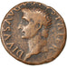 Augustus, Dupondius, Roma, EF(40-45), Copper, Cohen #228, 10.30