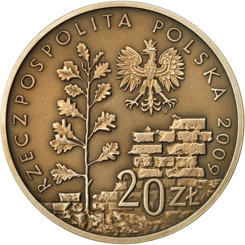 Coin, Poland, 20 Zlotych, 2009, Warsaw, MS(65-70), Silver, KM:693