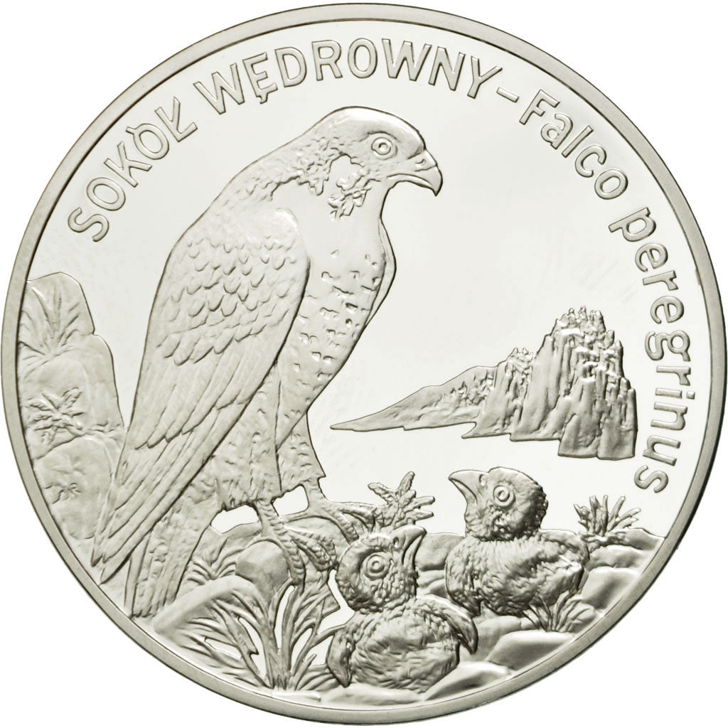 Coin, Poland, 20 Zlotych, 2008, Warsaw, MS(65-70), Silver, KM:637