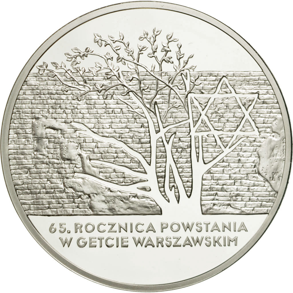 Coin, Poland, 20 Zlotych, 2008, Warsaw, MS(65-70), Silver, KM:636