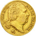 Coin, France, Louis XVIII, Louis XVIII, 20 Francs, 1822, Paris, EF(40-45), Gold