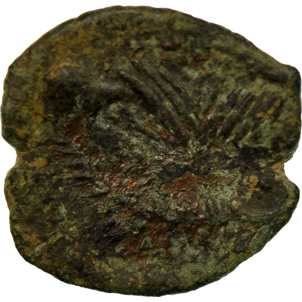 Moneta, Volcae Arecomici, Bronze Æ, 1st century BC, VF(20-25), Bronze