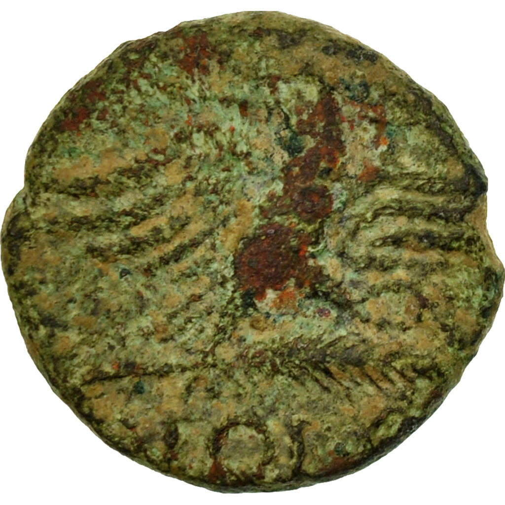 Monnaie, Volcae Arecomici, Bronze, TB+, Bronze, Latour:2657