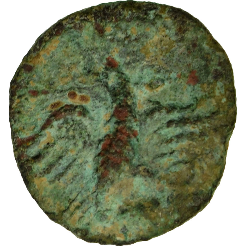 Munten, Volcae Arecomici, Bronze, ZG+, Bronze, Latour:2657