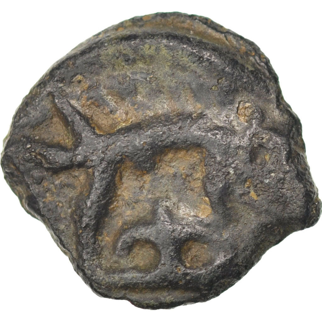 Leuci, Potin, EF(40-45), Potin, 4.20