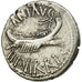 Coin, Marcus Antonius, Denarius, 32-31 BC, Uncertain Mint, EF(40-45), Silver