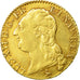 Coin, France, Louis XVI, Louis d'or à la tête nue, Louis d'Or, 1787, Paris