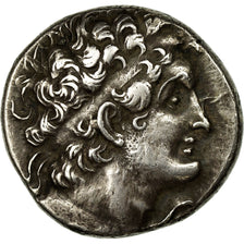 Moneta, Ptolemy VI, Egypt, Tetradrachm, 150-149 BC, AU(55-58), Srebro