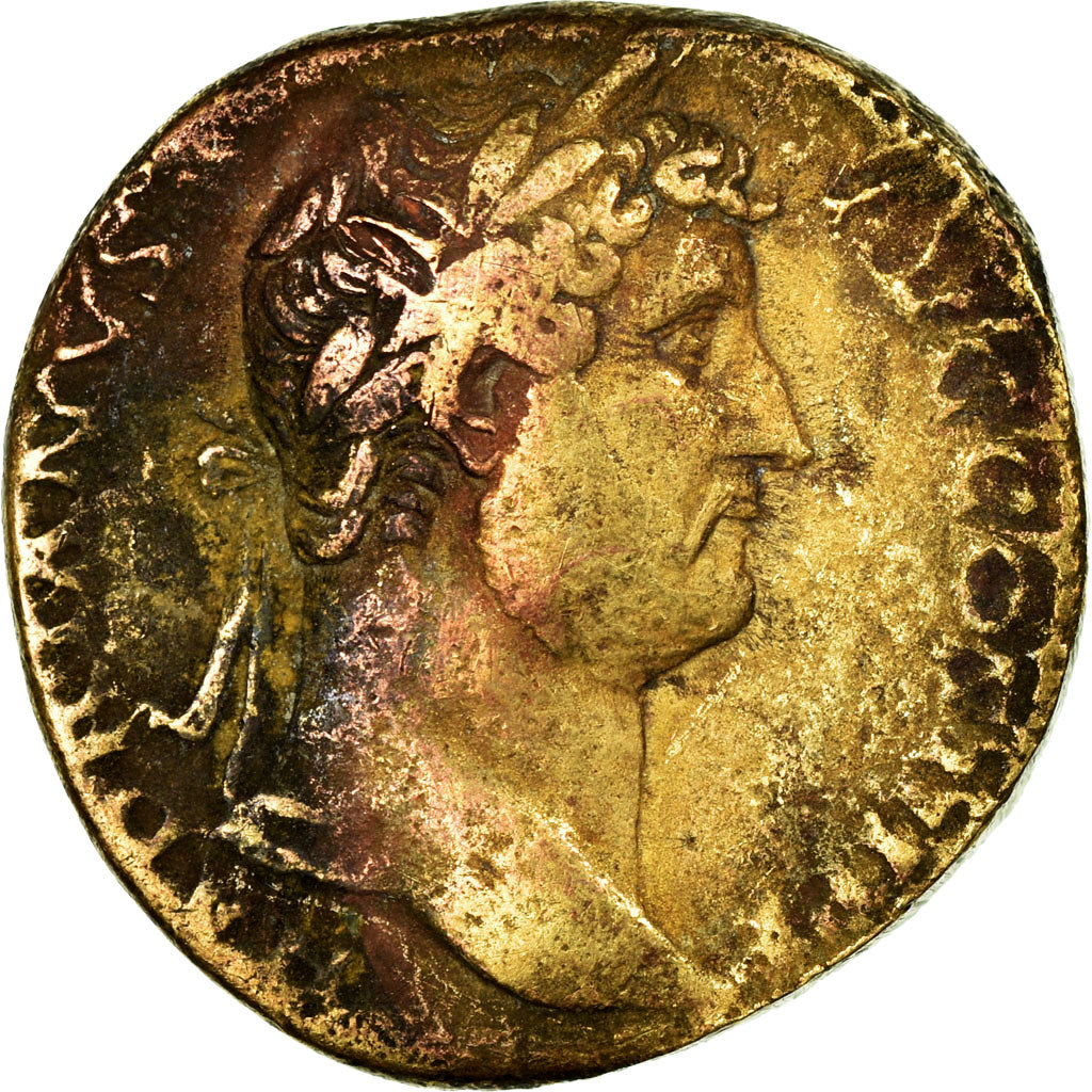 Monnaie, Hadrien, Sesterce, AD 134-138, Rome, TB, Cuivre, RIC:749