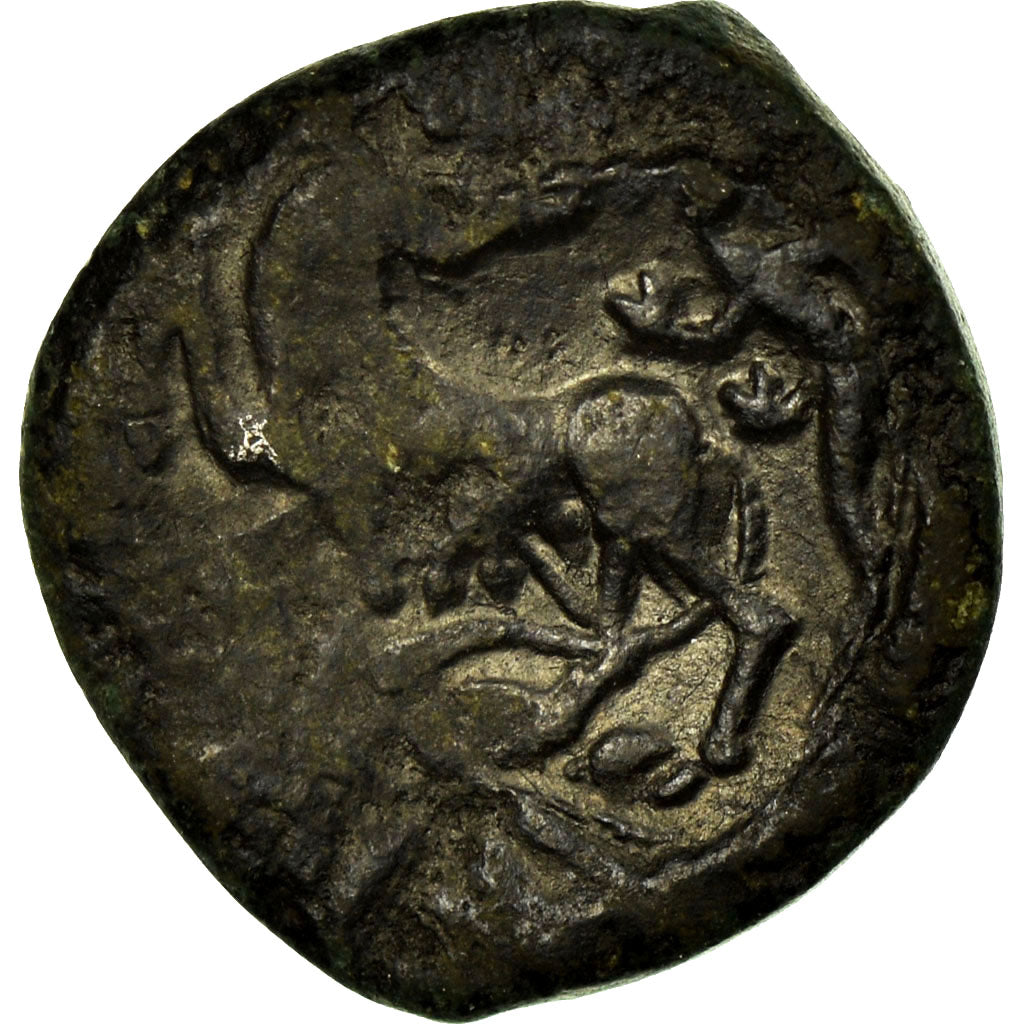 Coin, Carnutes, Bronze Æ, VG(8-10), Bronze, Delestrée:2465