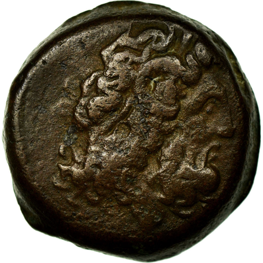 Münze, Ptolemy IX, Bronze Æ, Alexandria, SS, Bronze, SNG Cop:311-4
