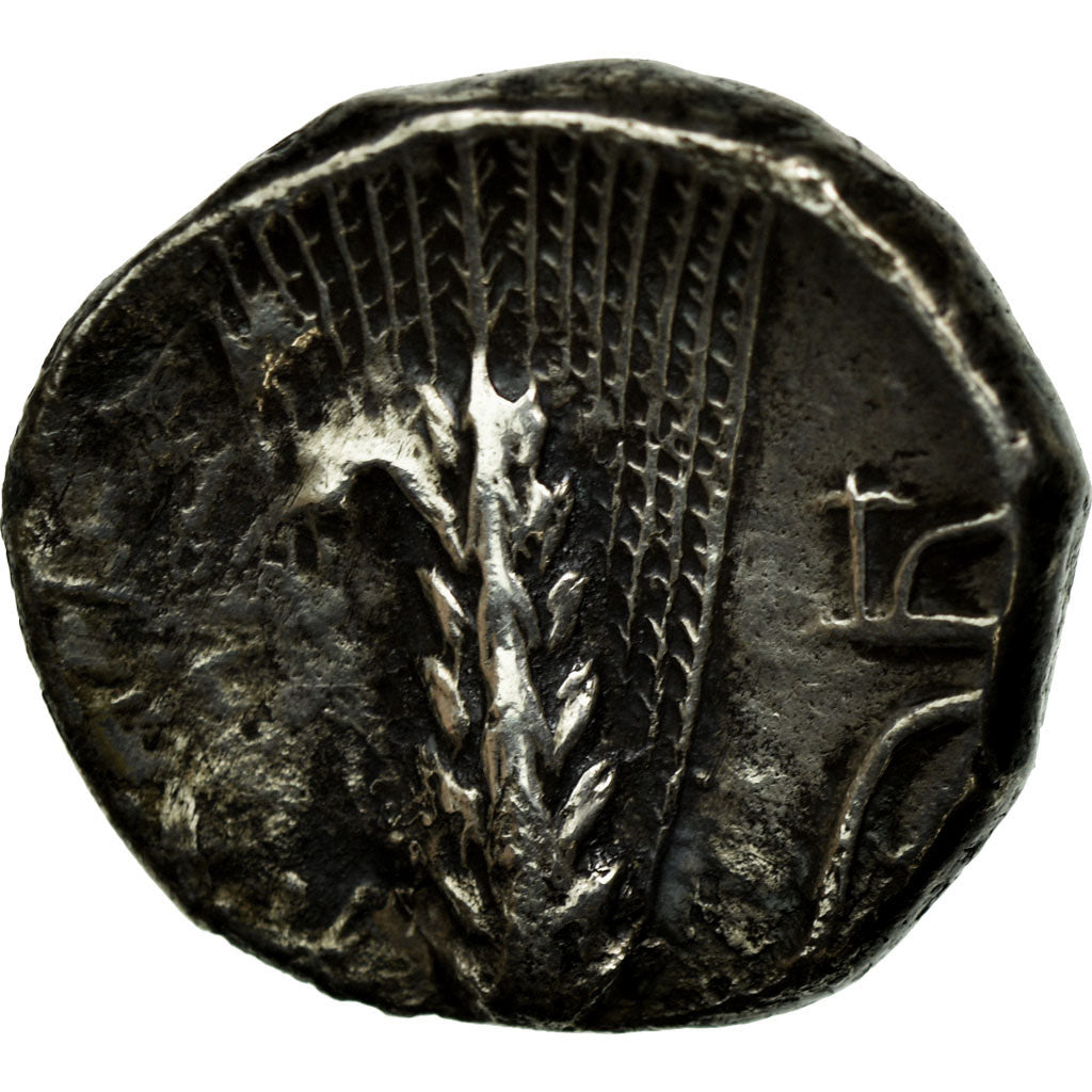Moneta, Lucania, Demeter, Metapontion, Didrachm, Metapontion, BB, Argento