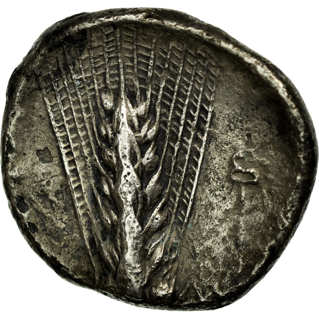 Coin, Demeter, Didrachm, Metapontion, EF(40-45), Silver, SNG ANS:400