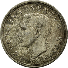 Coin, South Africa, George VI, 5 Shillings, 1950, AU(50-53), Silver, KM:40.1