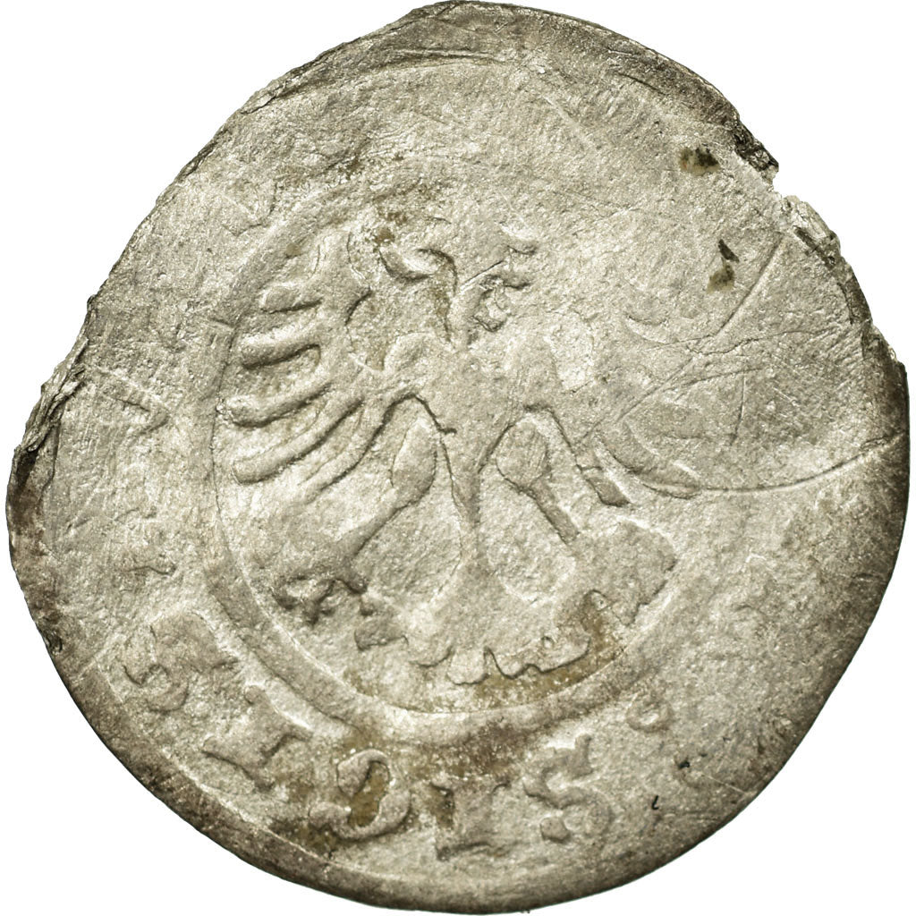 Moeda, Polónia, Sigismund I, 1/2 Grosz, VF(20-25), Prata