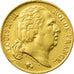 Moneta, Francia, Louis XVIII, Louis XVIII, 20 Francs, 1818, Lille, BB+, Oro