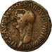 Coin, Claudius, As, 41-50, Roma, VF(30-35), Copper, Cohen:47, RIC:97