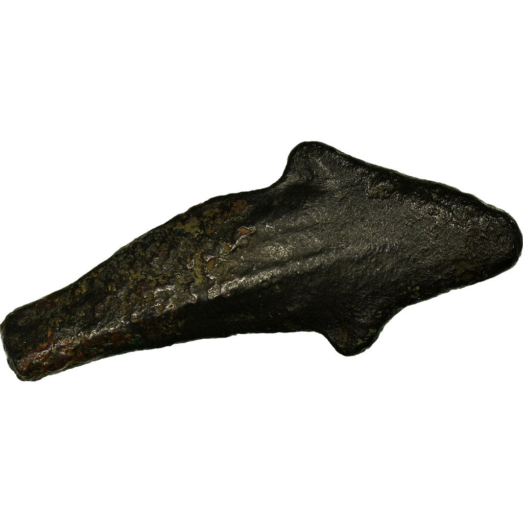 Moeda, Sarmácia, Olbia, Dolphin, Olbia, VF(30-35), Bronze