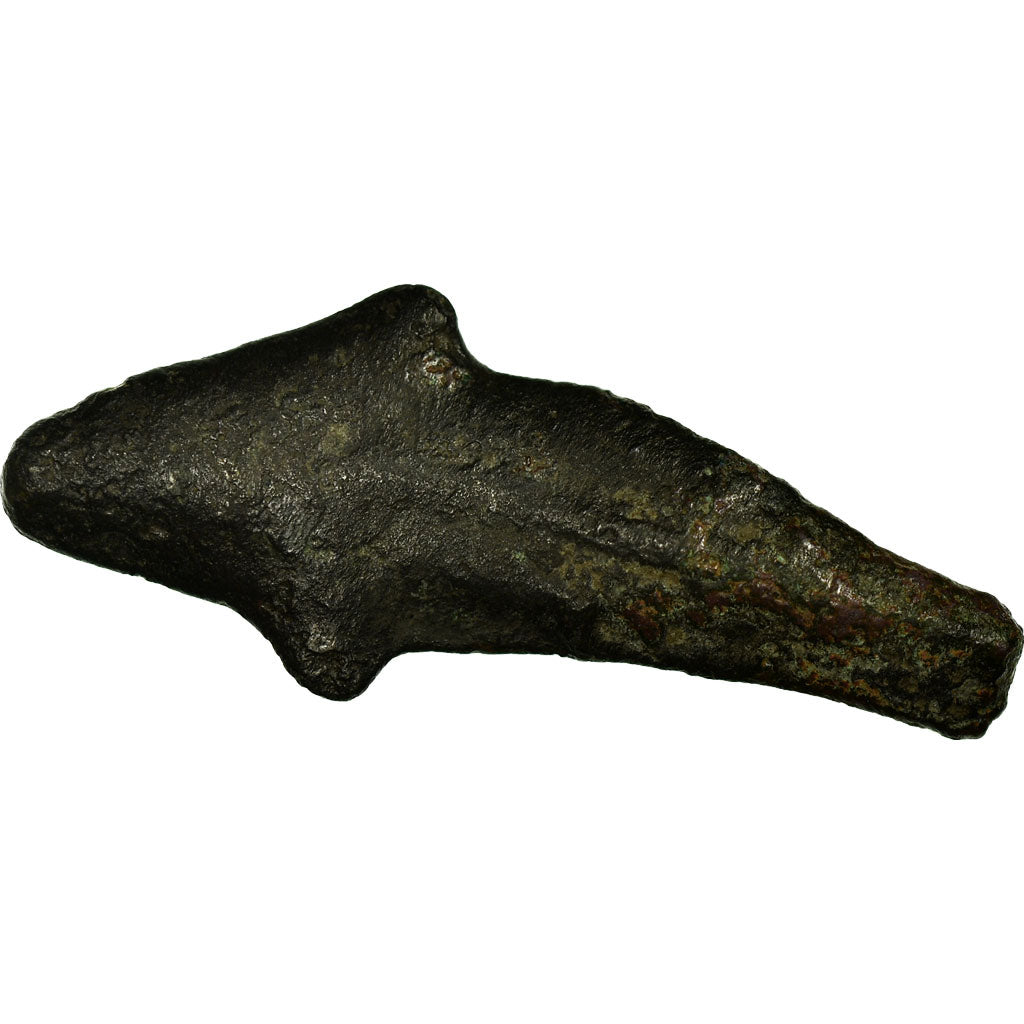 Moeda, Sarmácia, Olbia, Dolphin, Olbia, VF(30-35), Bronze