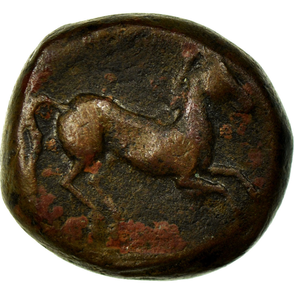 Moneta, Carthage, Tanit, Zeugitane, Bronze, BB, Rame