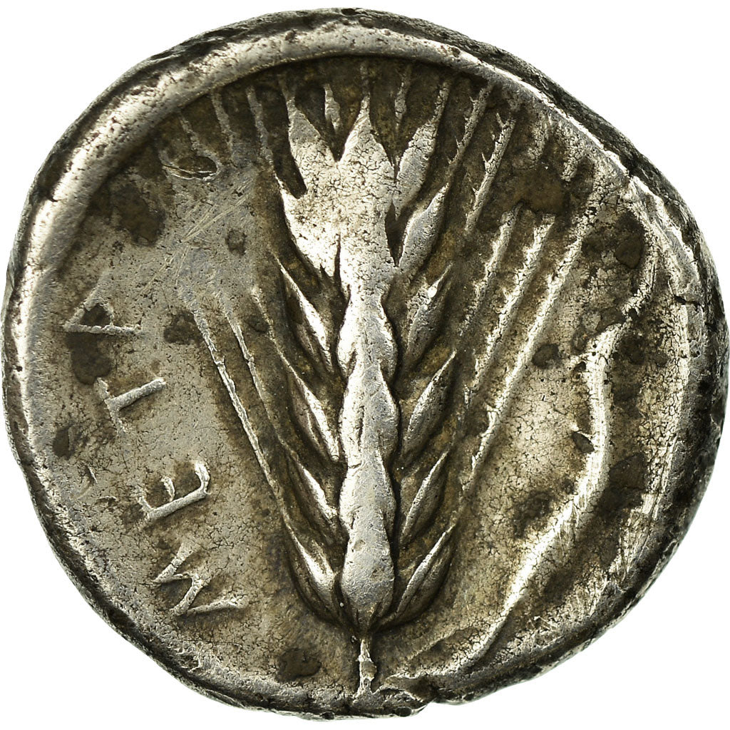 Coin, Lucania, Metapontion, Stater, Metapontion, VF(20-25), Silver