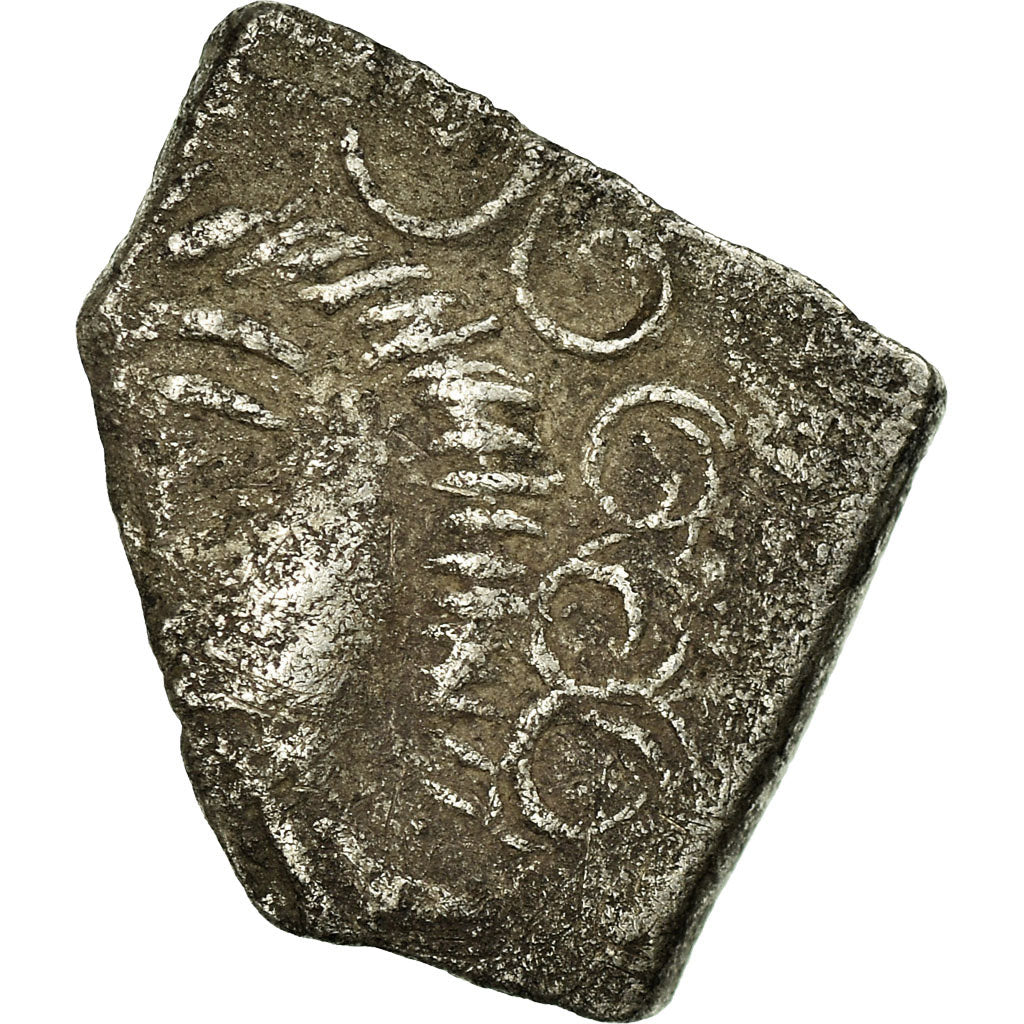 Ruteni, Drachme aux feuilles aquatiques, 2nd-1st century BC, Argento, MB+