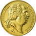Coin, France, Louis XVIII, Louis XVIII, 20 Francs, 1817, Paris, EF(40-45), Gold