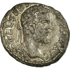 Coin, Septimius Severus, Denarius, 193, Roma, Rare, EF(40-45), Silver, RIC:11