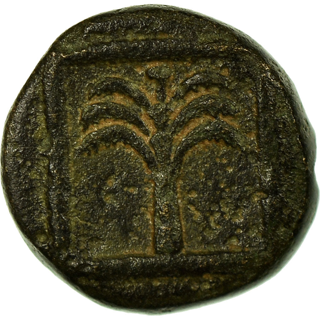 Münze, Bronze Unit, Skepsis, SS, Bronze