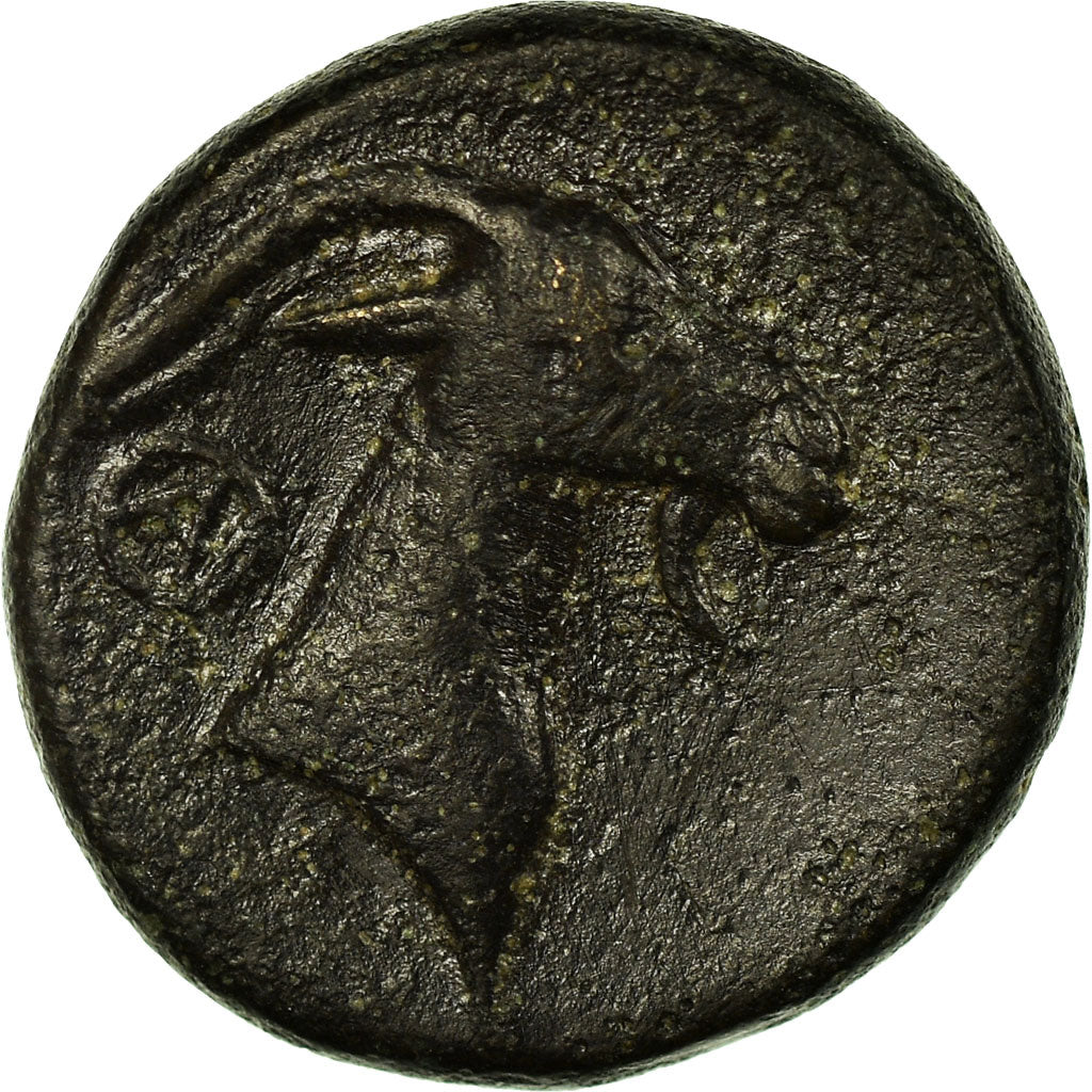 Moeda, Eólia, Bronze Æ, EF(40-45), Bronze