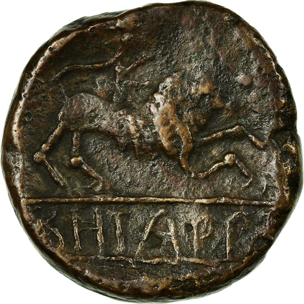 Münze, Bronze Æ, Betarratis, Rare, S+, Bronze