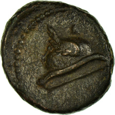 Coin, Domitian, Quadrans, Roma, VF(30-35), Copper, RIC:32