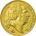 Münze, Frankreich, Louis XVIII, Louis XVIII, 20 Francs, 1817, Paris, S+, Gold