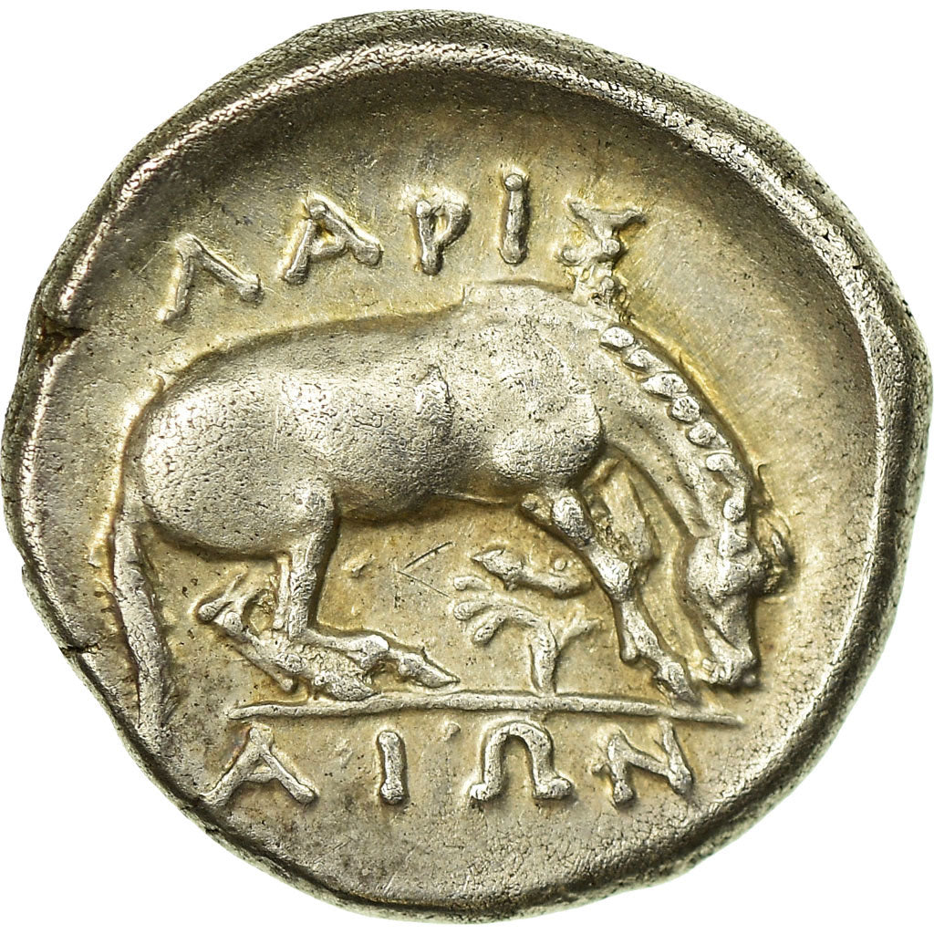Coin, Thessaly, Larissa, Kyme, Amazon, Drachm, Larissa, AU(55-58), Silver
