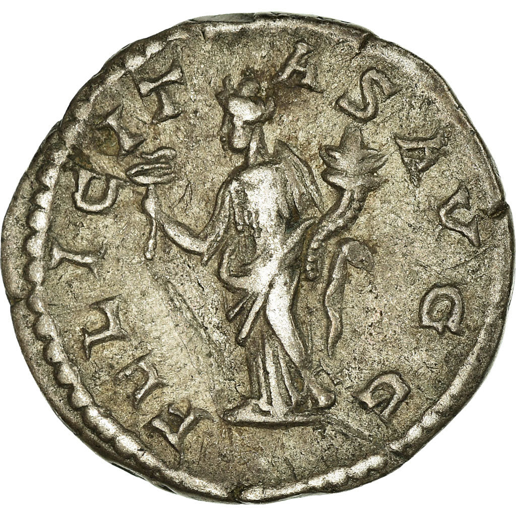 Münze, Septimius Severus, Denarius, 205, Rome, SS+, Silber, RIC:261