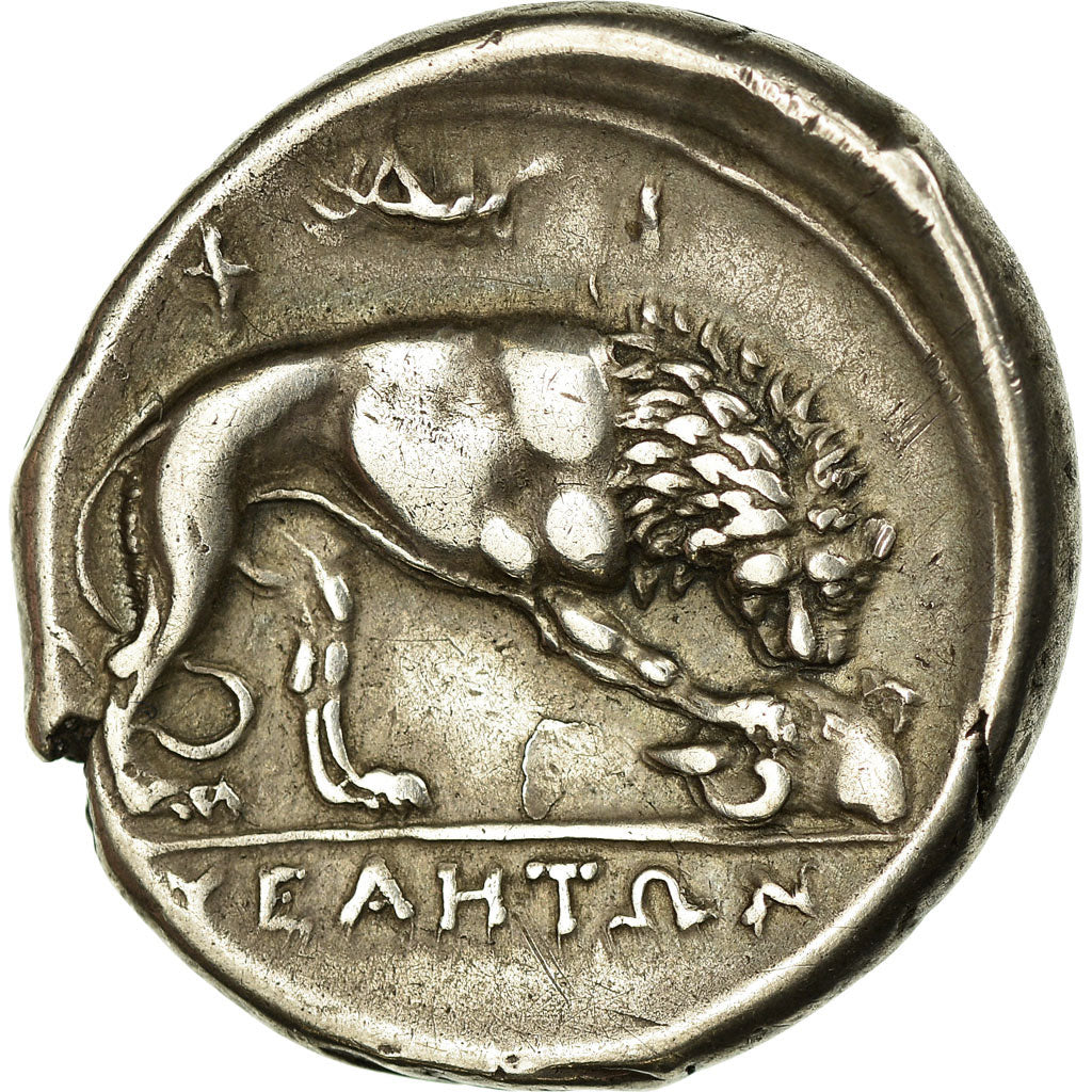 Monnaie, Lucanie, Velia, Athena, Statère, SUP, Argent, Pozzi:257