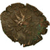 Coin, Tetricus I, Antoninianus, AD 272-274, Trier, VF(30-35), Billon, RIC:100