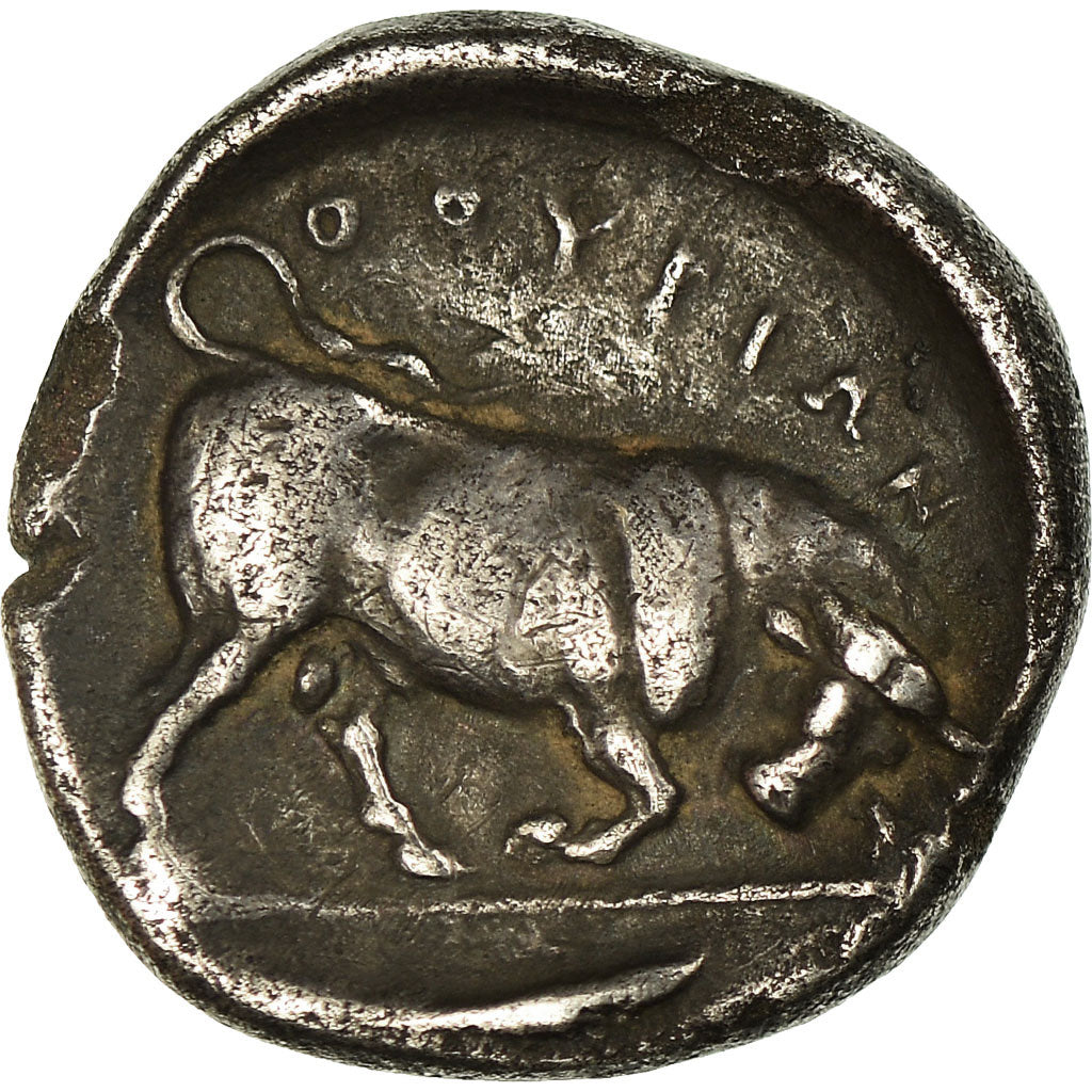 Coin, Lucania, Thourioi, Stater, Thourioi, EF(40-45), Silver, SNG ANS:907