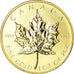 Coin, Canada, Elizabeth II, 50 Dollars, 1987, Royal Canadian Mint, Ottawa