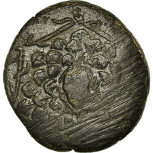 Moeda, Ponto, Amisos, Bronze Æ, VF(20-25), Bronze