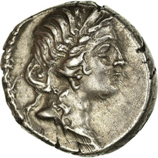 Moneta, Julius Caesar, Denarius, Rome, SPL, Argento, Cohen:12