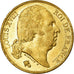 Coin, France, Louis XVIII, Louis XVIII, 20 Francs, 1824, Paris, AU(55-58), Gold