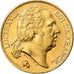 Moneta, Francia, Louis XVIII, Louis XVIII, 20 Francs, 1824, Paris, SPL-, Oro